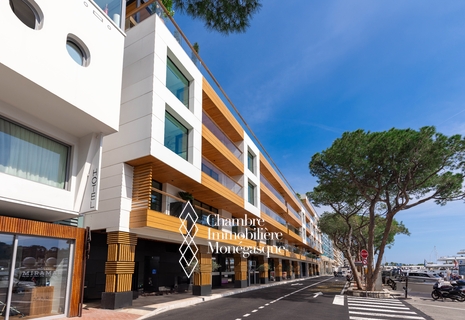 EMPLACEMENT DE PARKING FACE AU PORT DE MONACO