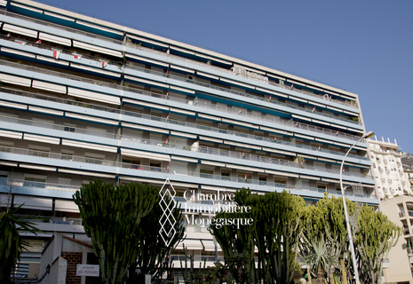 RARE ! BOX CENTRAL - LE TROCADERO