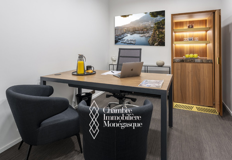 FONTVIEILLE - PRIVATE OFFICES IN THE BUSINESS DISTRICT