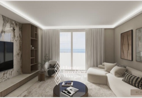 3 PIÈCES RÉNOVER SUR LE PORT