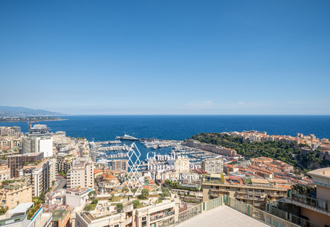 VILLA LES PINS - Jardin Exotique - Duplex Penthouse avec Vue Panoramique