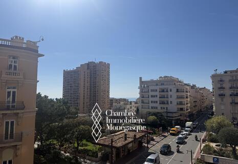 Grand 4 pièces avec aperçu mer au coeur de Monaco