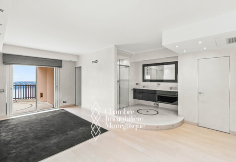 Parc Saint Roman: Grand Duplex Roof with Parking & Cellar