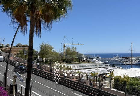 VITA PREMIUM SUL PORTO DI MONACO
