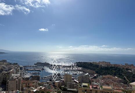 Duplex rooftop - Villa Les Pins - Vue sur la Principauté et la mer