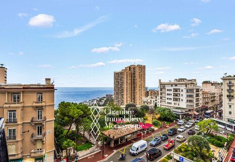 LE CONTINENTAL – three-bedroom for rent with terrace, open views and a glimpse of the sea