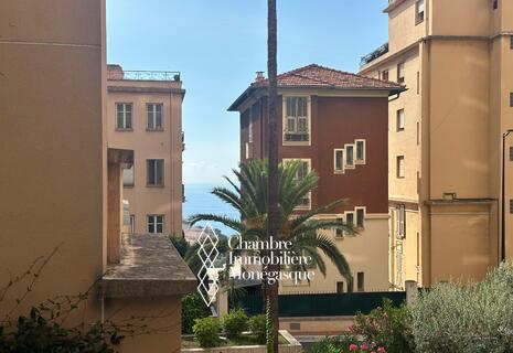 Patio Palace – Grand bureau avec open space – Jardin Exotique