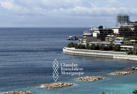 SPLENDIDO APPARTAMENTO CON VISTA SUL MARE
