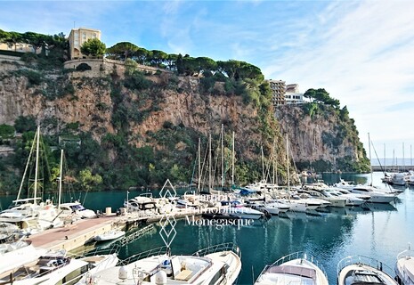 Luxury 5/6-room residence with harbour views in Fontvieille