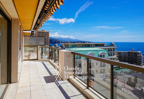 MONTE CARLO - 1-BEDROOM FLAT & SEA VIEW - PARKING