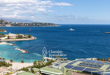 Magnifique penthouse au coeur de Monaco