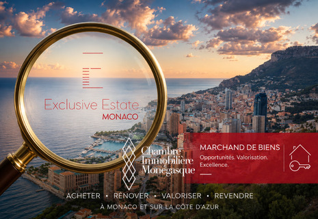 property dealer activity SURL