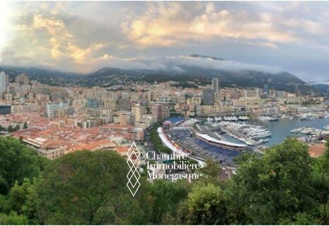 DUPLEX - VUE PORT HERCULE - MONACO VILLE
