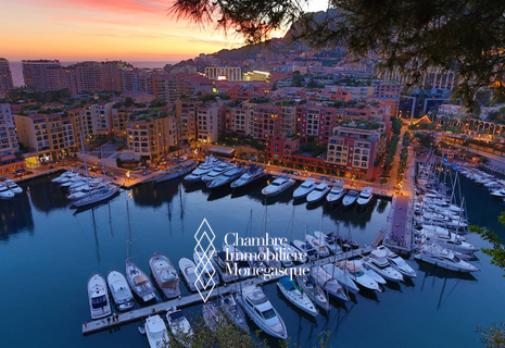 FONTVIEILLE: 5/6 room family apartment  for rent with sea and port view