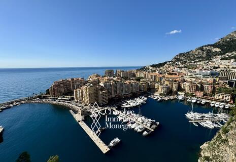Spacious flat with lovely terraces