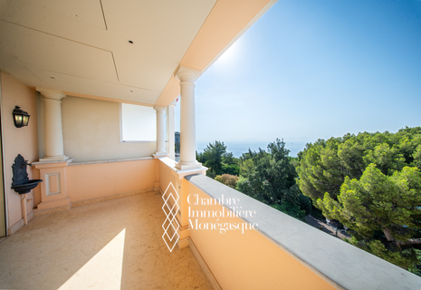 Raro – Appartamento duplex eccezionale - Monaco-ville