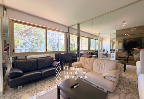 Vallespir – Bright studio just a few steps from the beaches – Larvotto