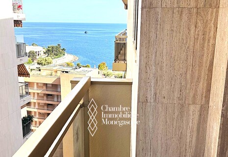 CHATEAU AMIRAL - STUDIO EN PARFAIT ETAT