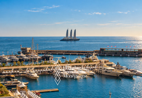 Exceptional - Port - 3 rooms - F1 circuit view