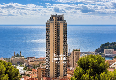 Monte-Carlo - Millefiori - Studio - Etage élevé