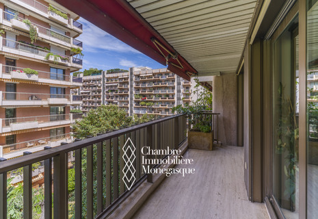 LE MIRABEL : A VENDRE - 2 PIECES - BALCON