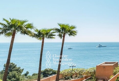 MONACO - LA ROUSSE - AFFITTO UFFICI