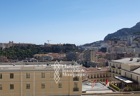 CARRÉ D'OR: GRANDE STUDIO CON VISTA SUL PORTO / PALAZZO / ROCCIA
