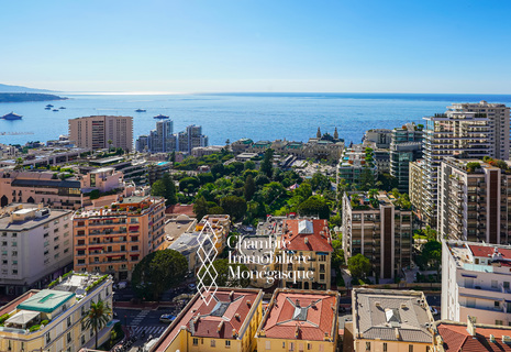 MILLEFIORI - 3 PIÈCES RÉNOVÉ - VUE PANORAMIQUE MER ET MONACO