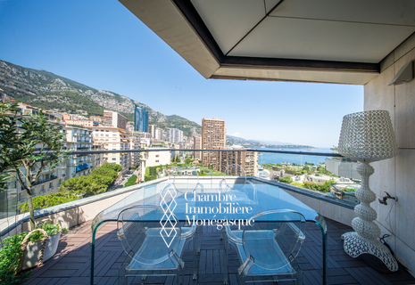 Prince de Galles  - Grand appartement 2pièces rénové