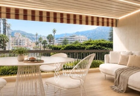 Park Palace-Au coeur du Carré d'or - Superbe studio rénové avec terrasse