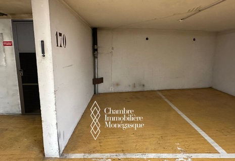 PARKING A VENDRE LES ACANTHES