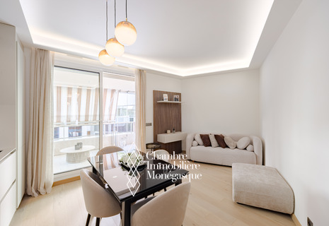 CHARMANT APPARTEMENT RENOVE