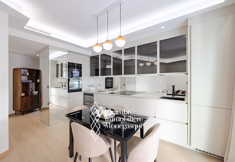 CHARMANT APPARTEMENT RENOVE