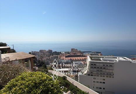 MAGNIFICENT 4-ROOM APARTMENT - EXOTIC - SEA VIEW