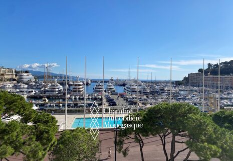 Exceptional Apartment in Monaco Harbour