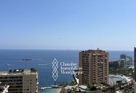 PENTHOUSE SOLE – VILLA ANNONCIADE, LA ROUSSE