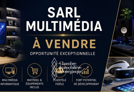SARL video multimédia téléphonie