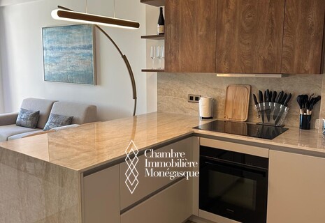 Magnifique appartement sur le port