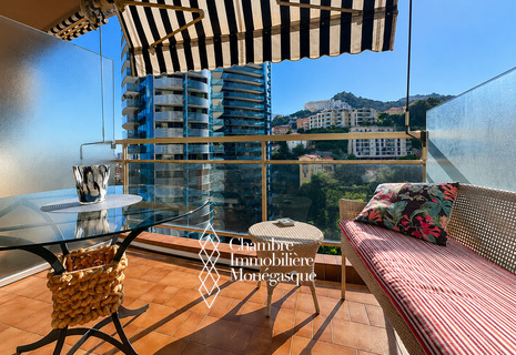 LA ROUSSE - ANNONCIADE - STUDIO EN ETAGE ELEVE