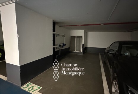 MONTAIGNE : PARKING A LOUER