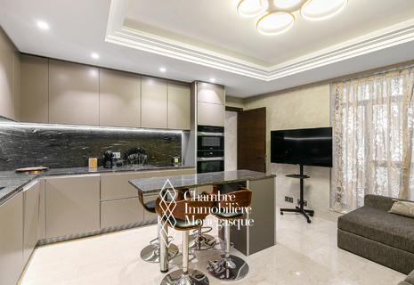 Vente studio meublé usage mixte résidence de standing Condamine Monaco