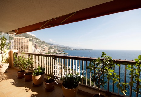 Carré d'Or - Le Mirabeau spacious 2bedrooms high floor facing the sea