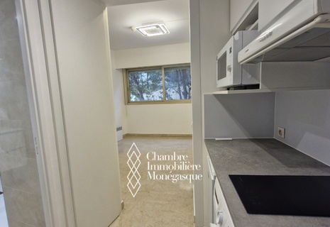 STUDIO RISTRUTTURATO,CUCINOTTO E BAGNO NUOVI