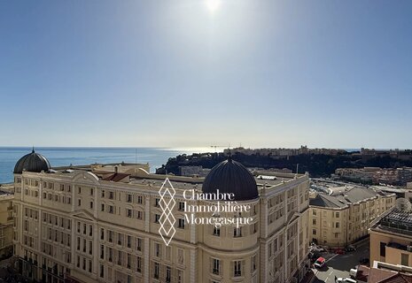 PARK PALACE – AMPIO QUATTRO LOCALI RISTRUTTURATO IN AFFITTO VUOT