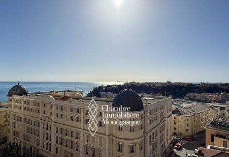PARK PALACE – GRAND 4 PIÈCES RÉNOVÉ À LA LOCATION VIDE AU CARRÉ D’OR