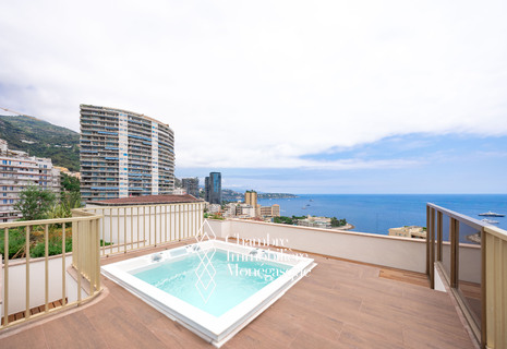 VILLA ANNONCIADE - PENTHOUSE TRIPLEX ROOFTOP, VUE PANORAMIQUE