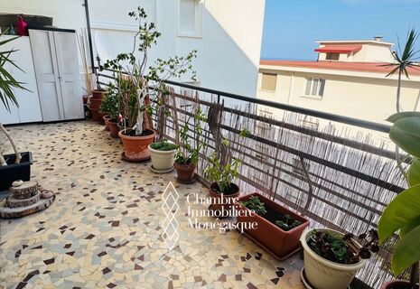 Spacious 1-Bedroom Apartment with Large Terrace, maid's room and cellar