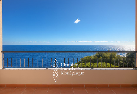 A Unique Family-Sized Luxury Apartment with Sea Views in Monaco