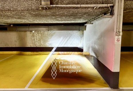 emplacement parking quartier port Condamine
