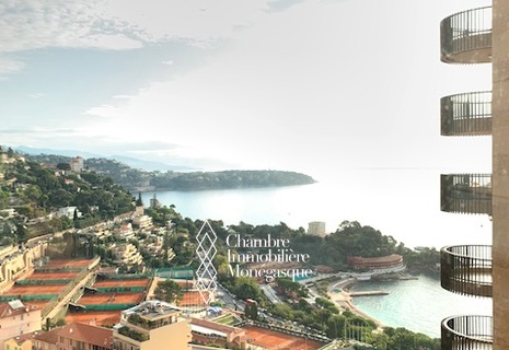 3 ROOMS - PARC SAINT ROMAN